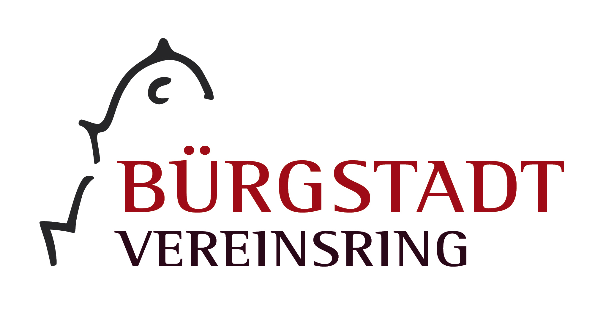 Logo Vereinsring Bürgstadt.jpg
