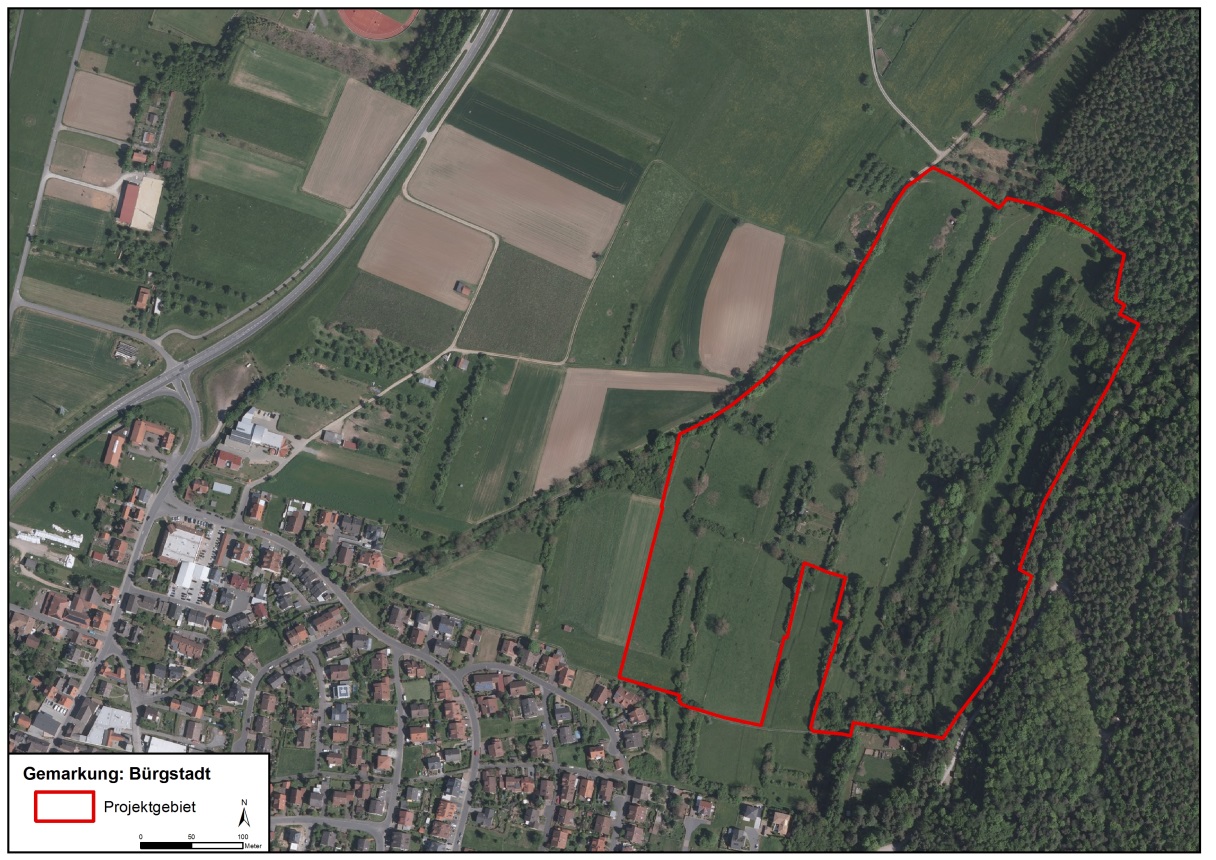 Wiederherstellung einer arten- und strukturreichen Weidelandschaft.jpg