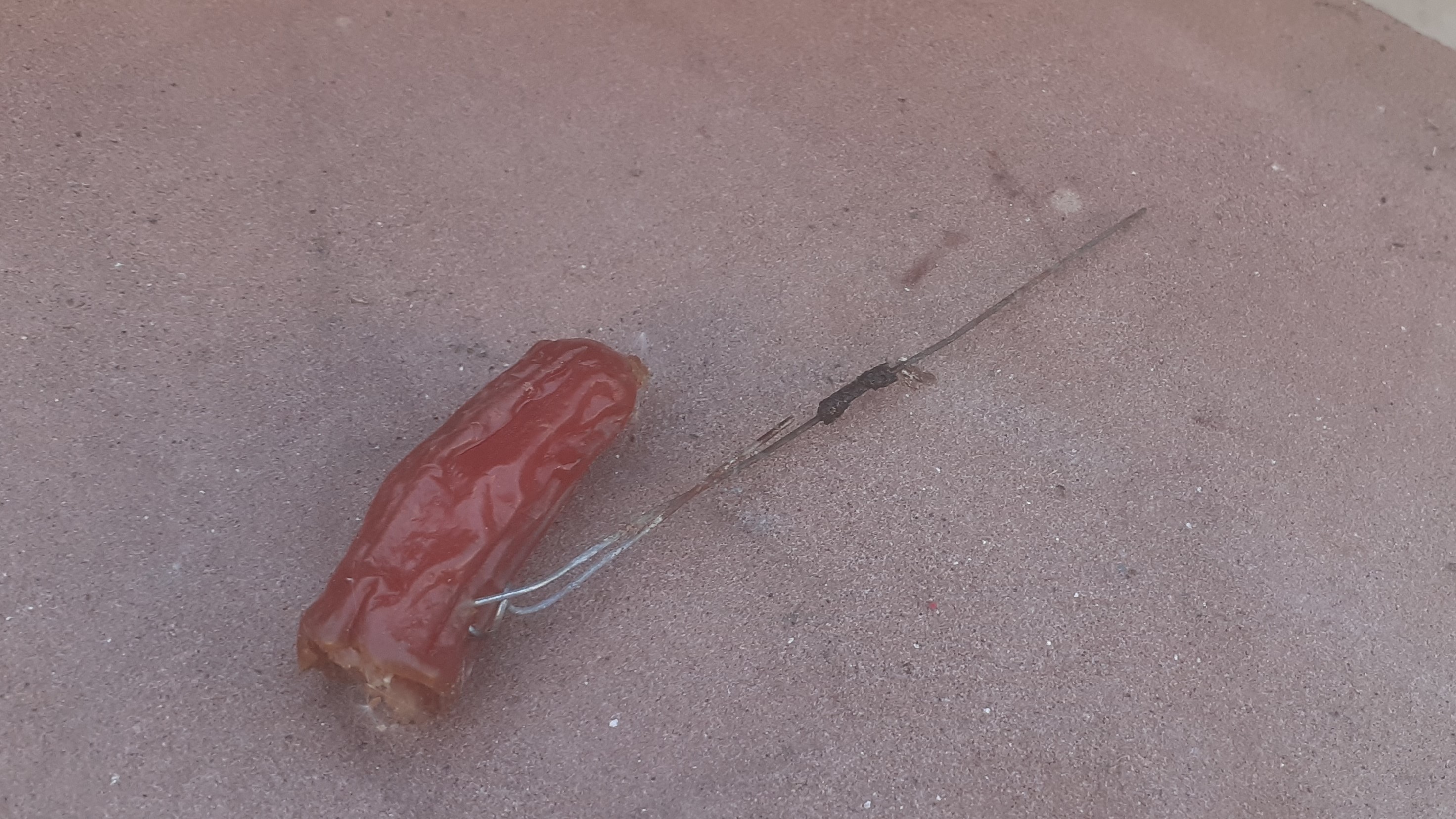 Hundeköder Altort.jpg