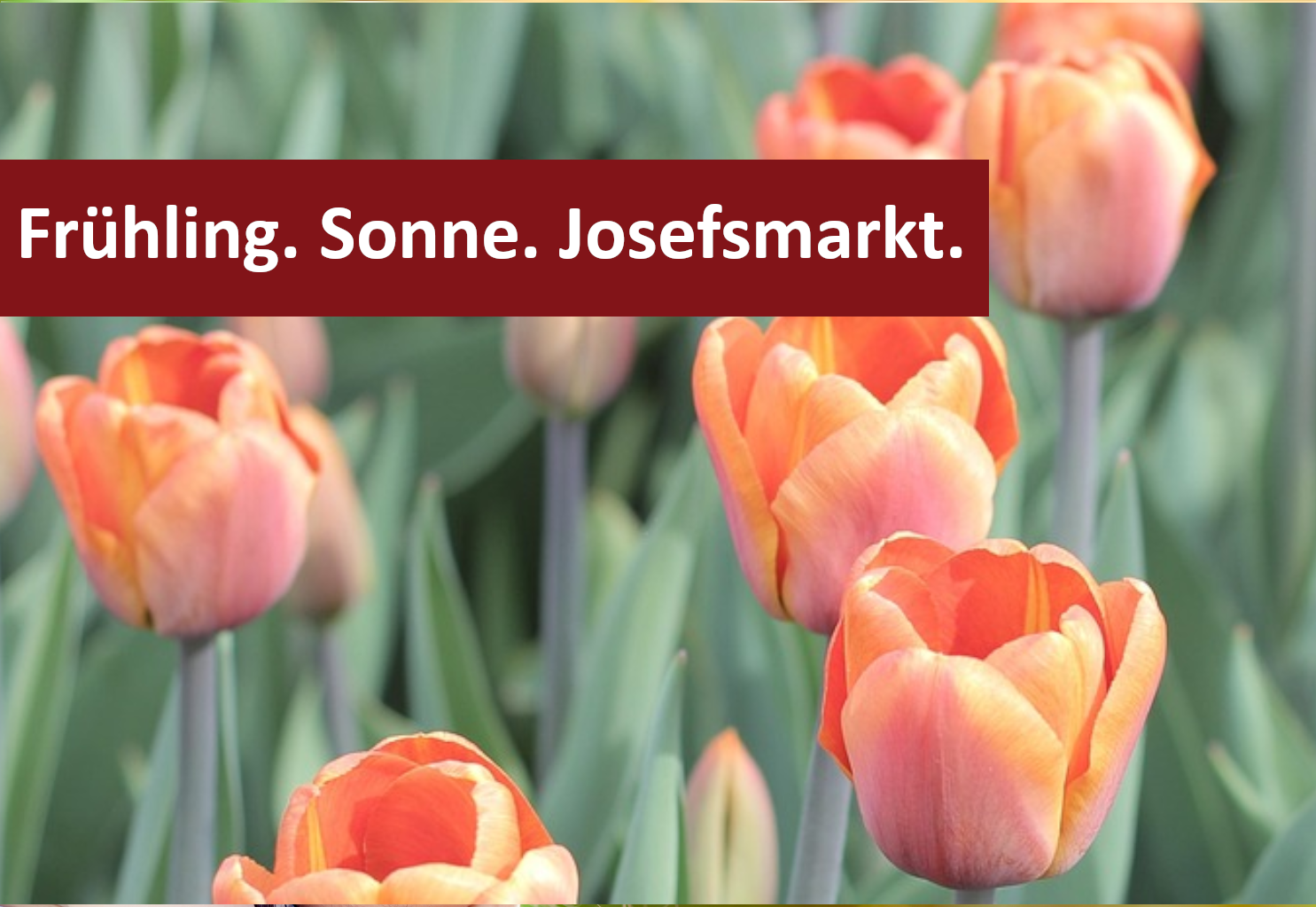 Josefsmarkt_2025_Header_News.png